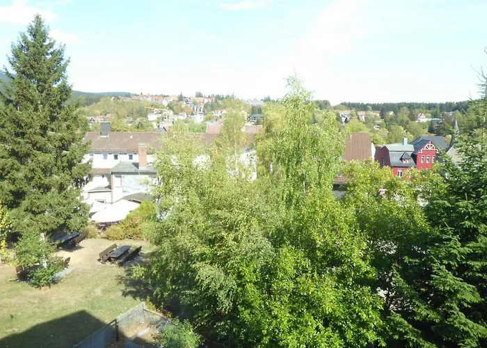 Апартаменты Bergblick-braunlage